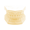 KKD® Cal - Naturgips Klasse III