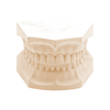 KKD® Master Die - Naturgips