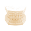 KKD® Glastone - Naturgips