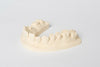 Dentona Uni Base 300
