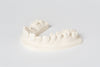 Dentona esthetic-base® B.C.