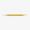 American Eagle XP Scaler