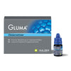 Kulzer GLUMA Desensitizer